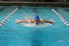 Swimming vs Bentley  Wheaton College Swimming & Diving vs Bentley College. - Photo by Keith Nordstrom : Wheaton, Swimming & Diving